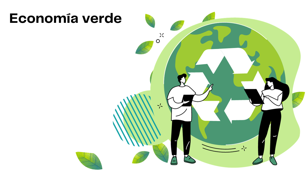 Centro de acopio – Enero 2024