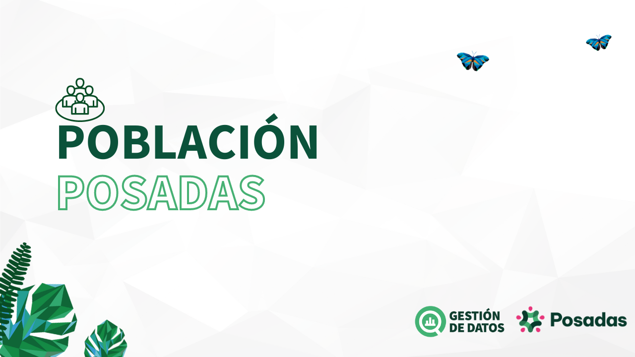 Informe estadístico de la población de Posadas – Primer trimestre de 2025